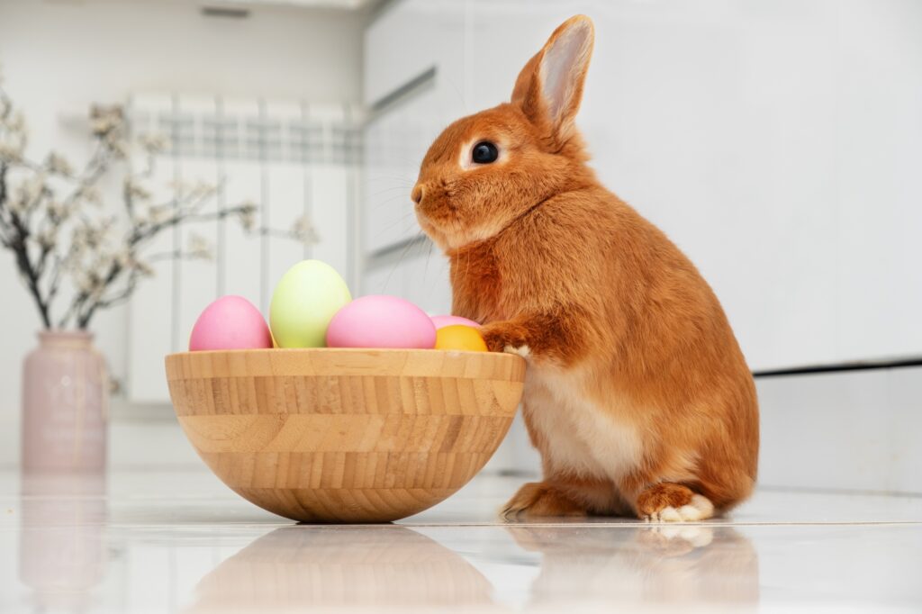 Easter bunny with bowl of eggs